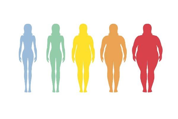 Body-Fat-Percentage.jpg